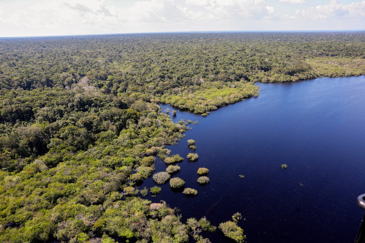 Área de desmatamento ilegal cresce 19% na amazônia em um ano