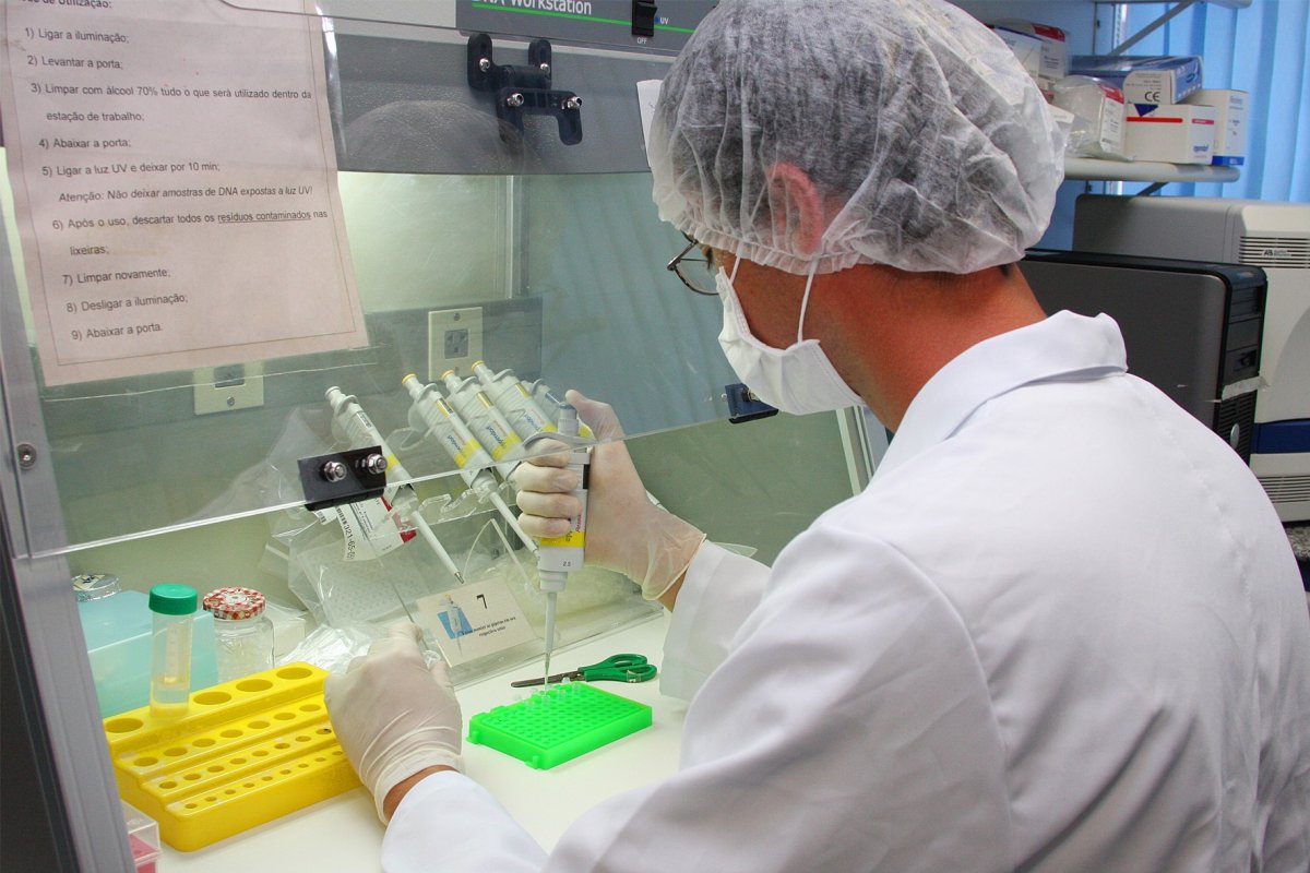 Estudo aponta que novo coronavírus pode ter origem nos morcegos