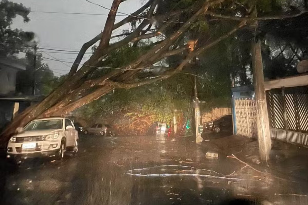Temporais no estado de SP deixam sete mortos e três gravemente feridos, diz Defesa Civil