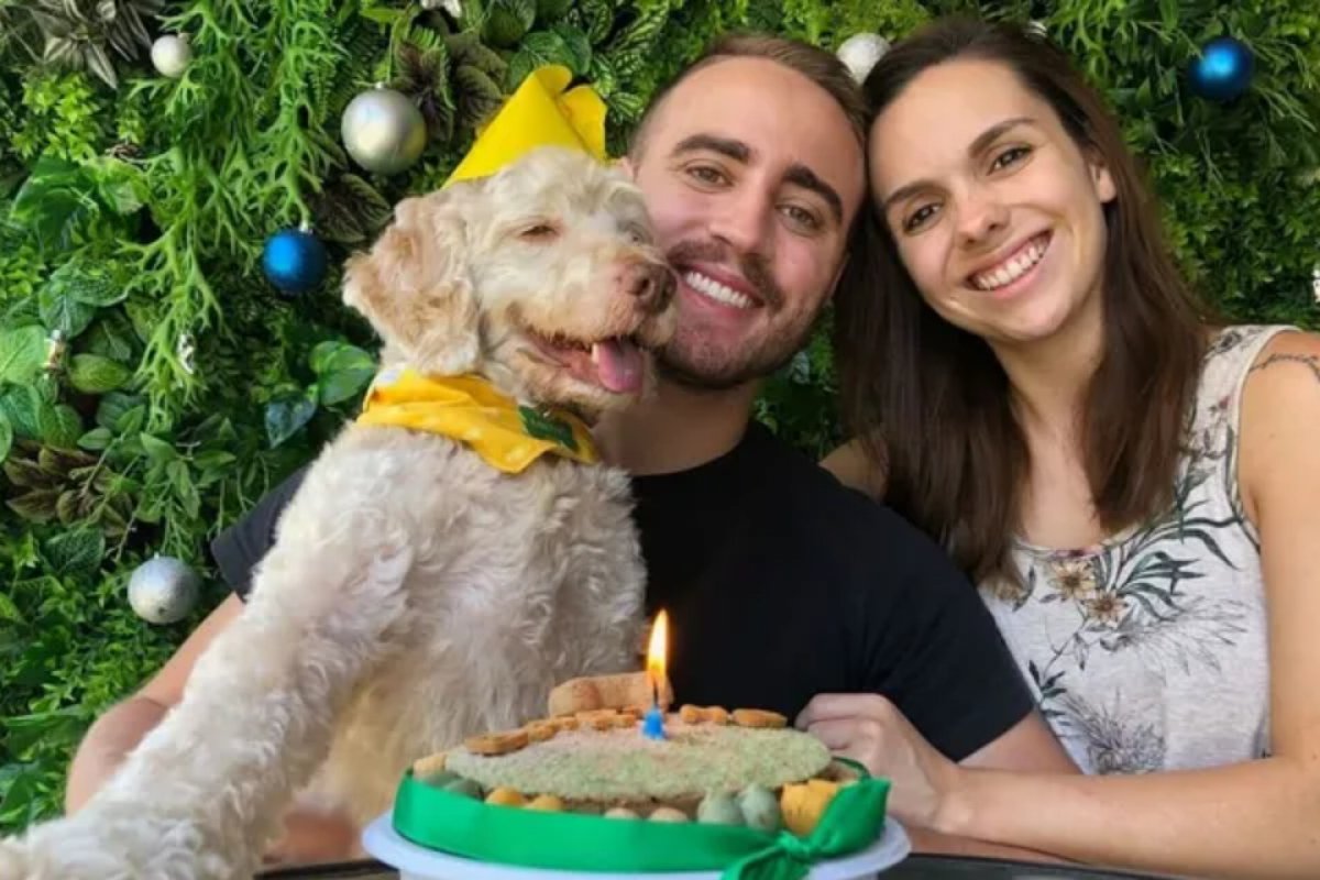 Cão morre eletrocutado e fica 24h na calçada após tocar em fio elétrico rompido na região sul