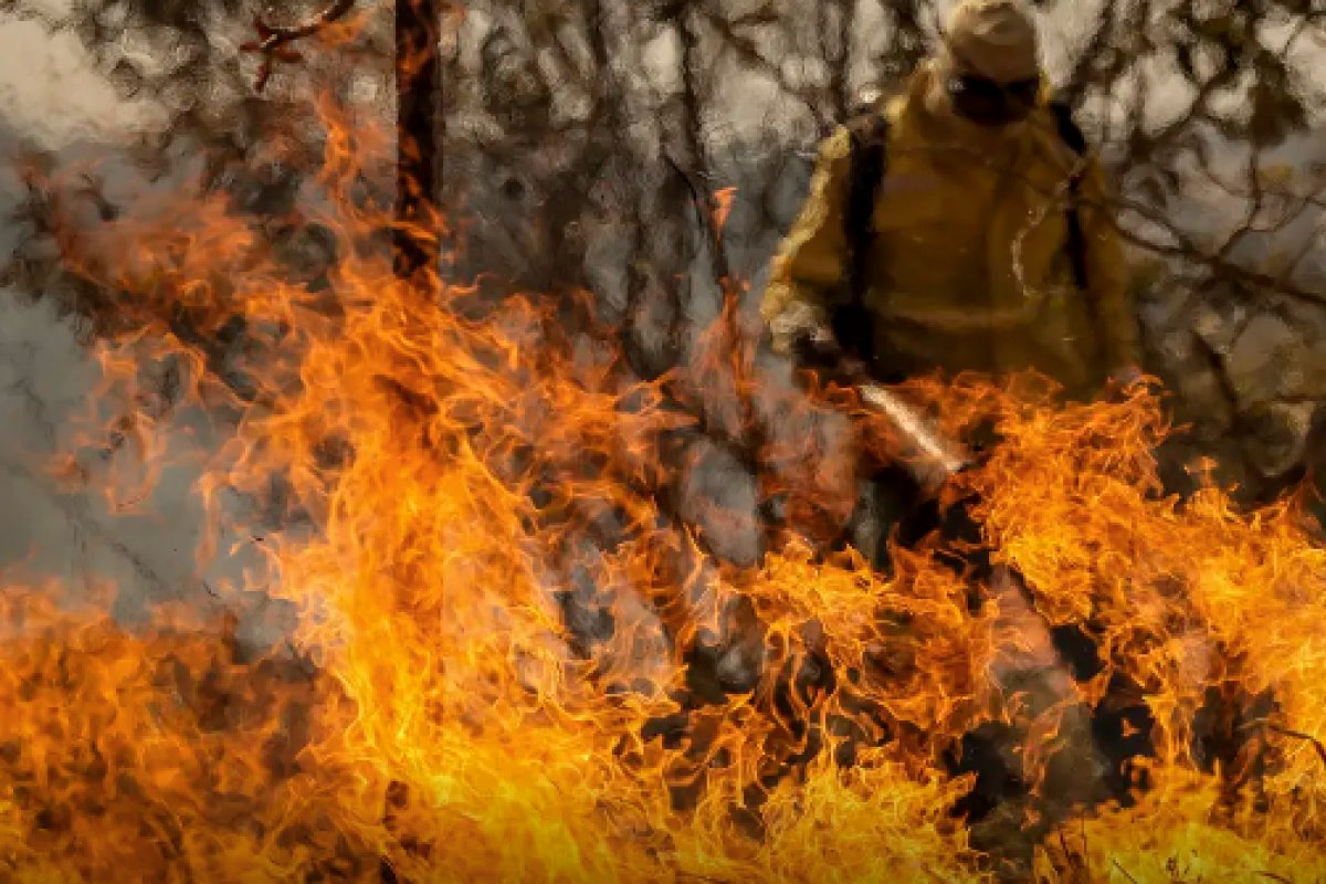 Mais de 2,3 mil focos de incêndio foram identificados nas últimas 48 h, diz Inpe