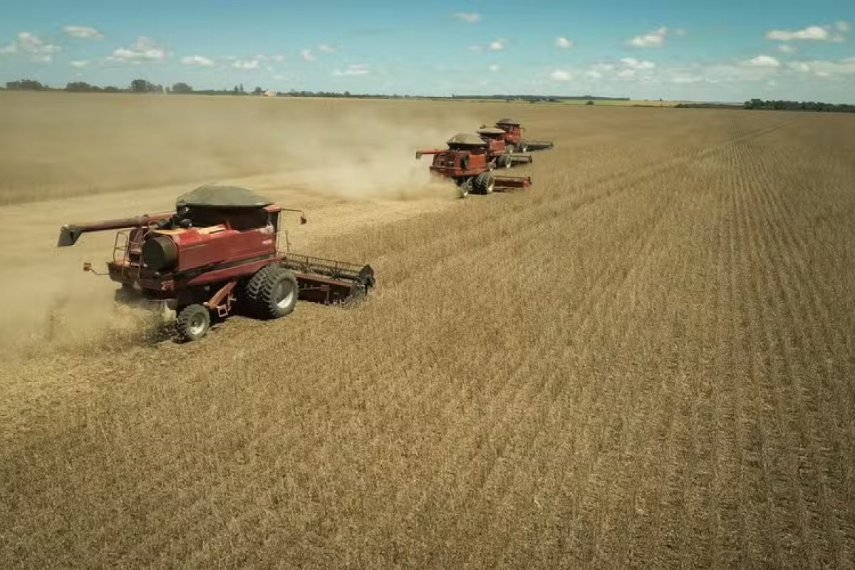 Safra baiana de grãos em 2024 segue em queda; aponta estimativa de setembro