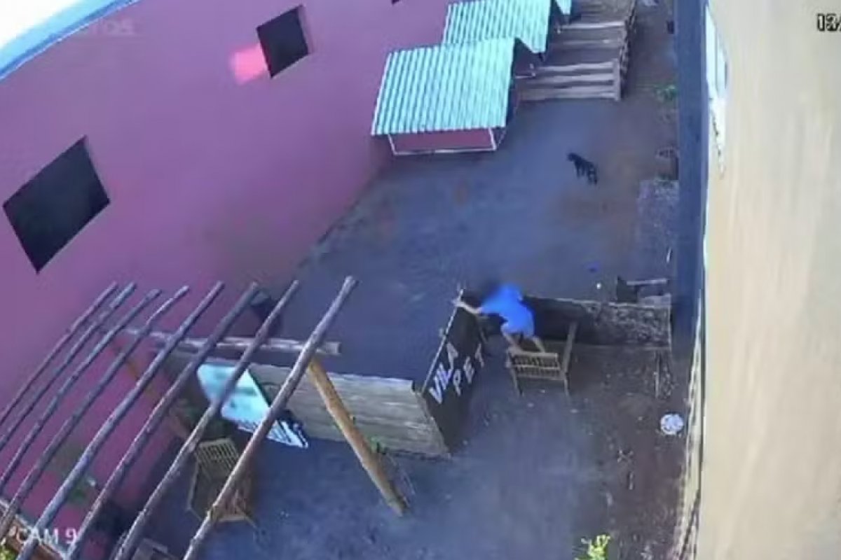 Vídeo: menino de 9 anos mata 23 animais em hospital veterinário no Paraná
