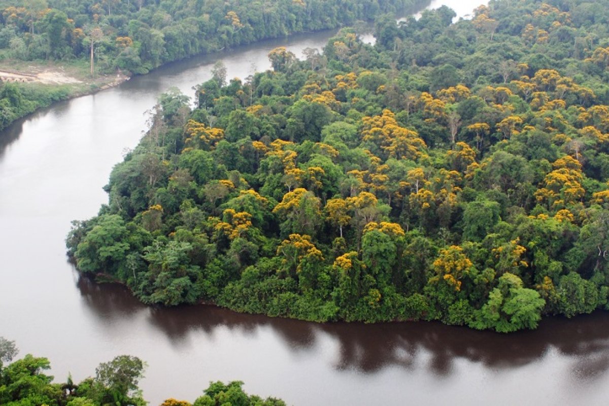 Cooperação financeira da União para o meio ambiente não está chegando aos munícipios, segundo estudo