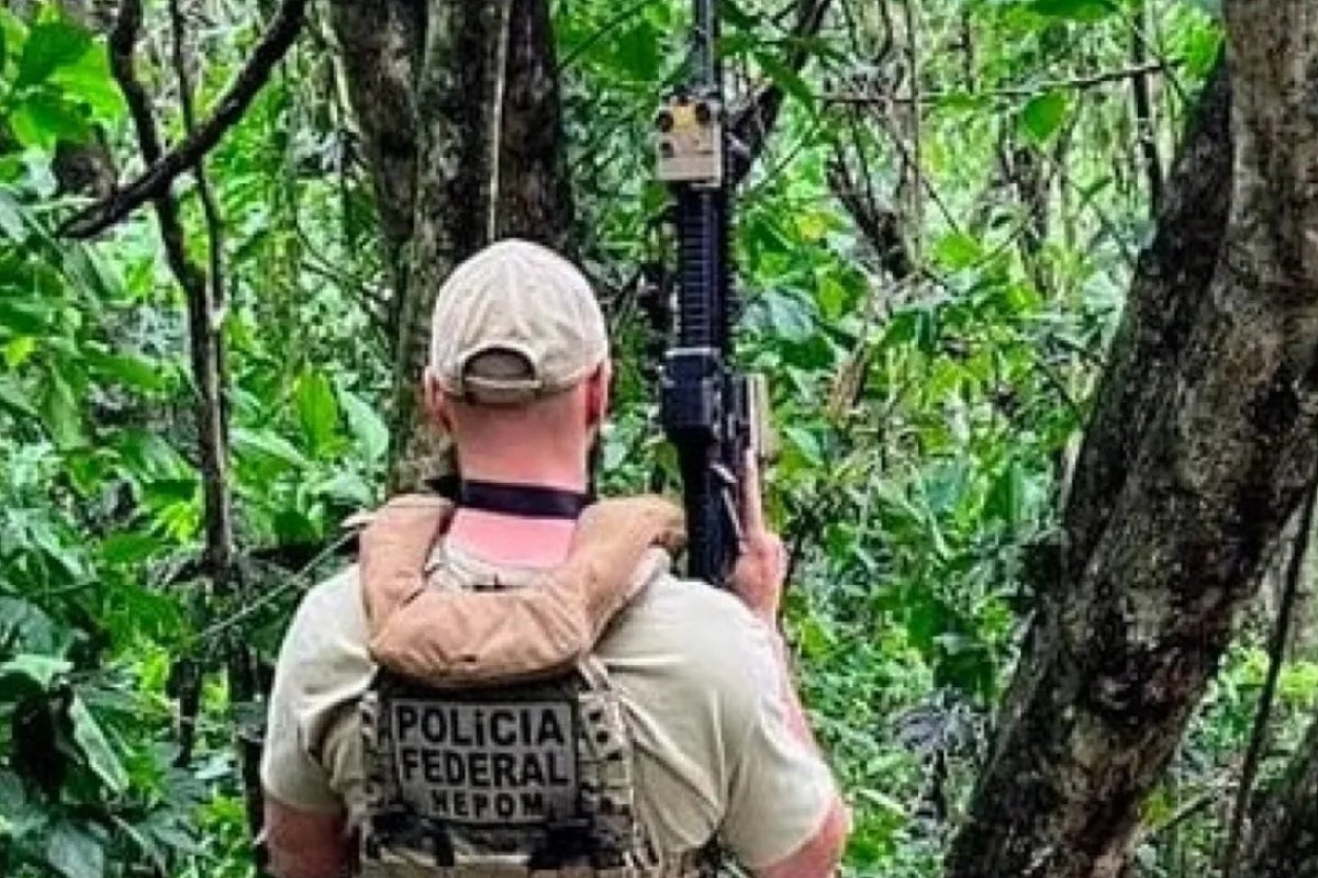 Polícias Federal e Militar apreendem 80kg de maconha em porto clandestino de Foz do Iguaçu