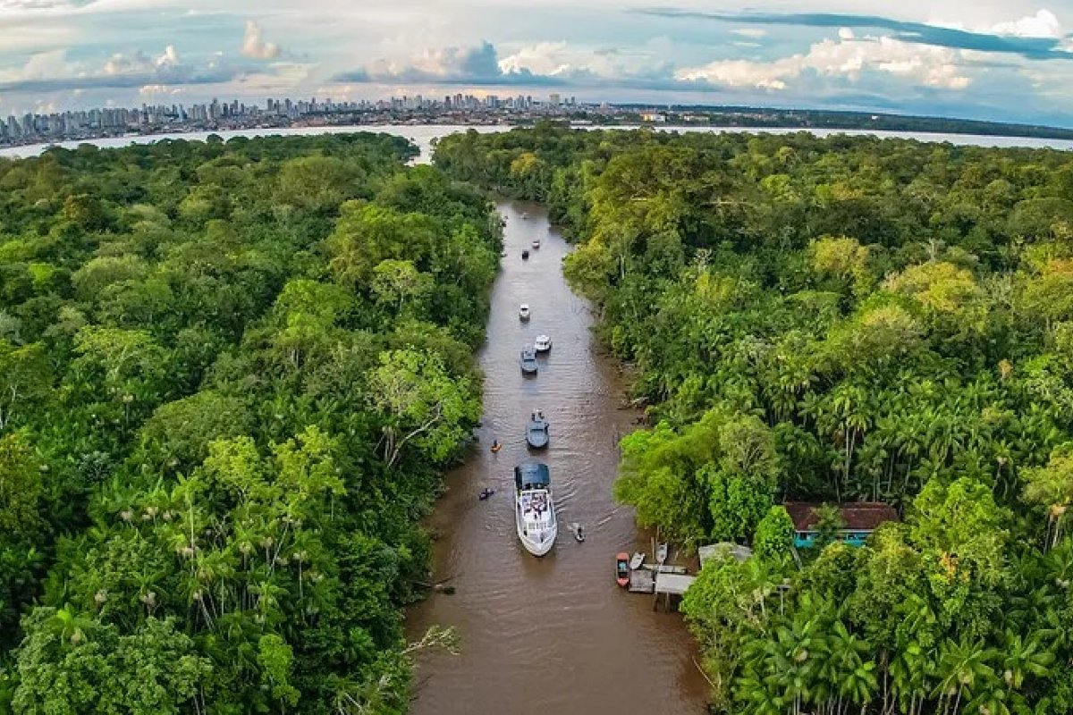 Começa nesta segunda-feira a 16ª COP da Biodiversidade na Colômbia