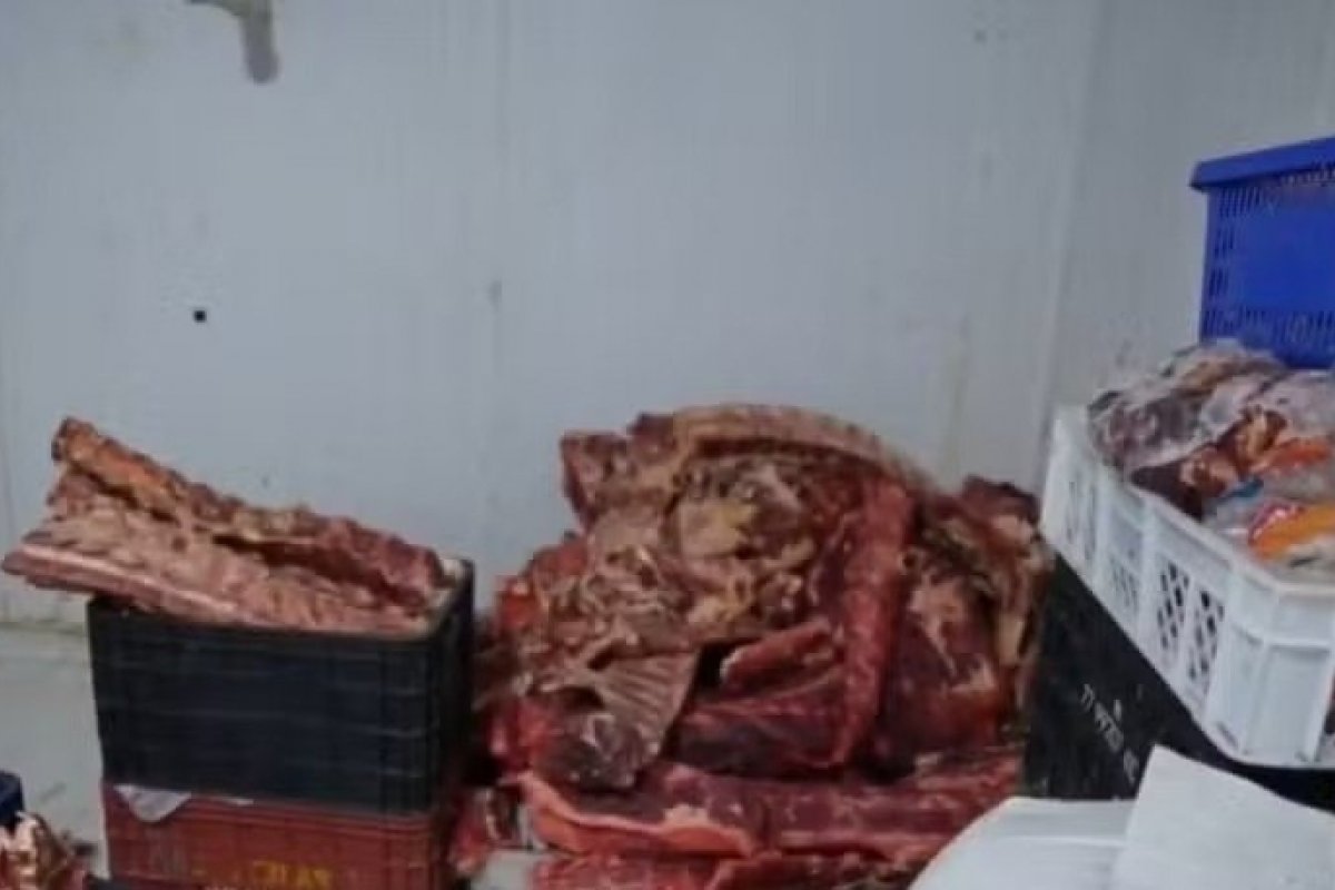 Quase 10 toneladas de carne imprópria para consumo são apreendidas em sete cidades da BA