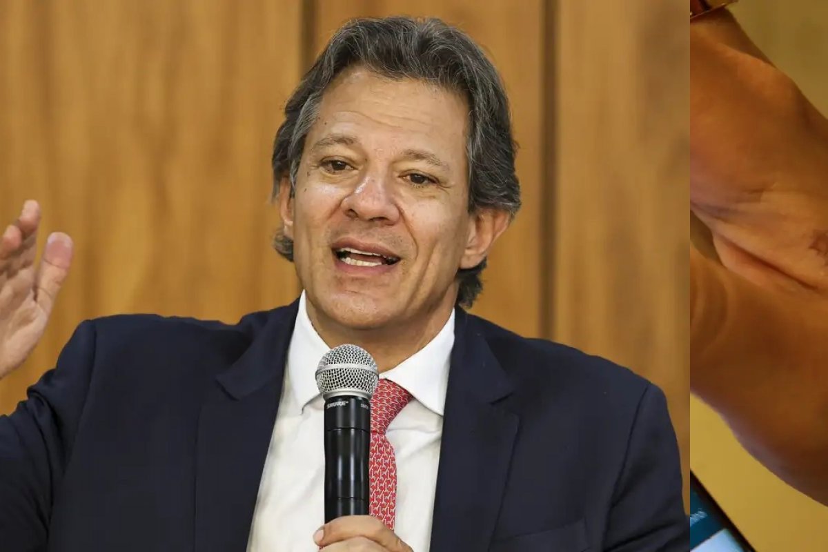 Me envolvi o tanto quanto fui demandado, diz Haddad sobre campanha eleitoral