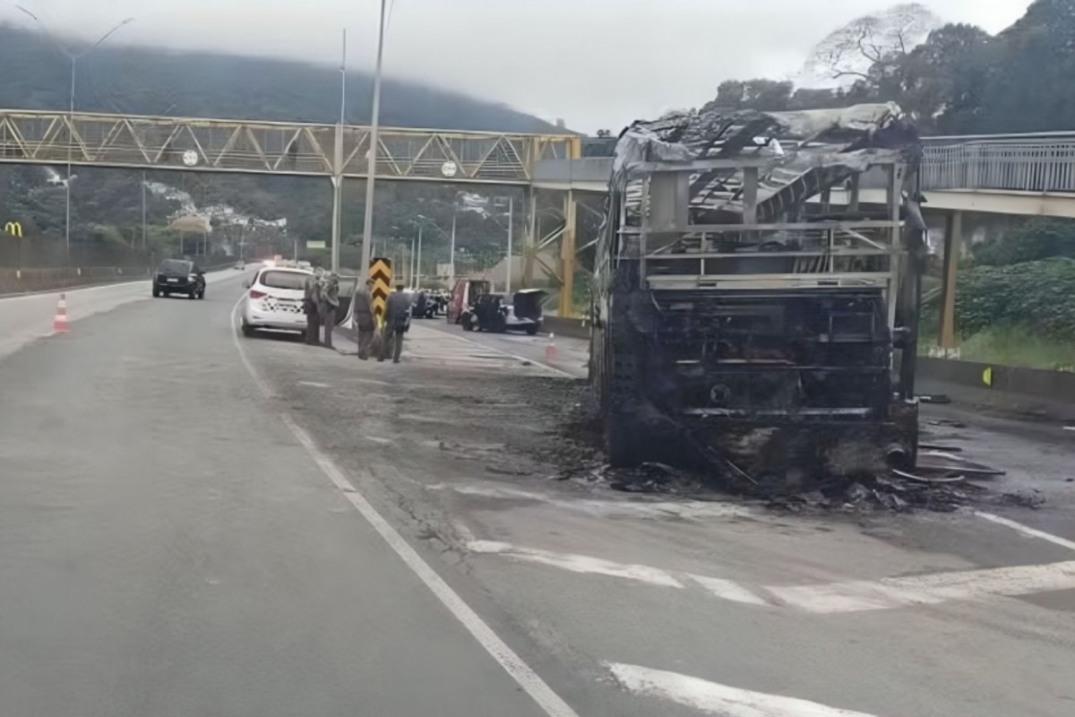 Vídeo: Confronto de 150 torcedores do Cruzeiro e Palmeiras resulta em 20 feridos e um morto