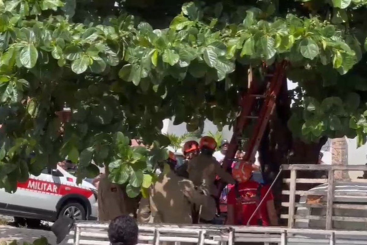 Homem morre eletrocutado durante poda em árvore