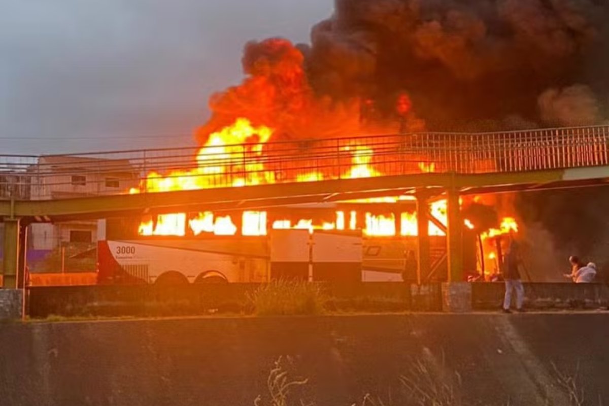 Após emboscada com um morto e 17 feridos, torcedores palmeirenses vão responder por homicídio, incêndio, quadrilha e agressão