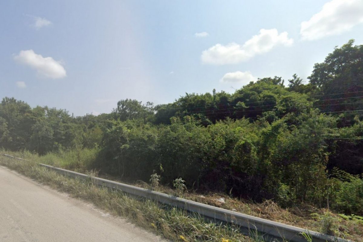 Cidade milenar Maia é encontrada por acidente em floresta no México por estudante