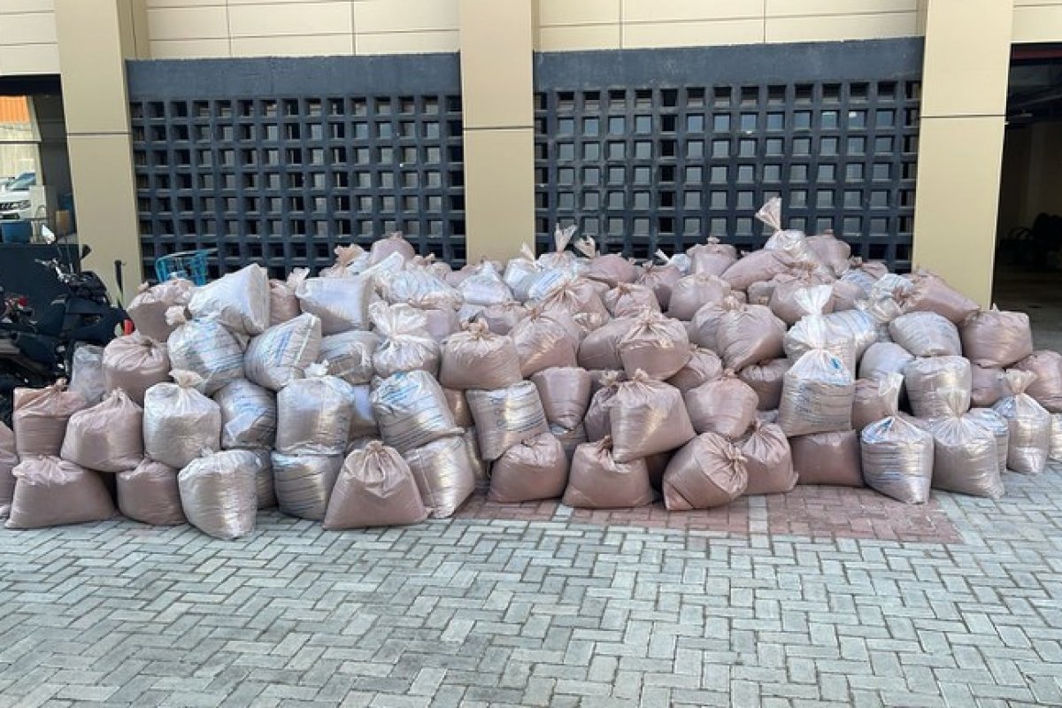 Polícia Federal incinera cerca de oito toneladas de pó da “mimosa hostilis”