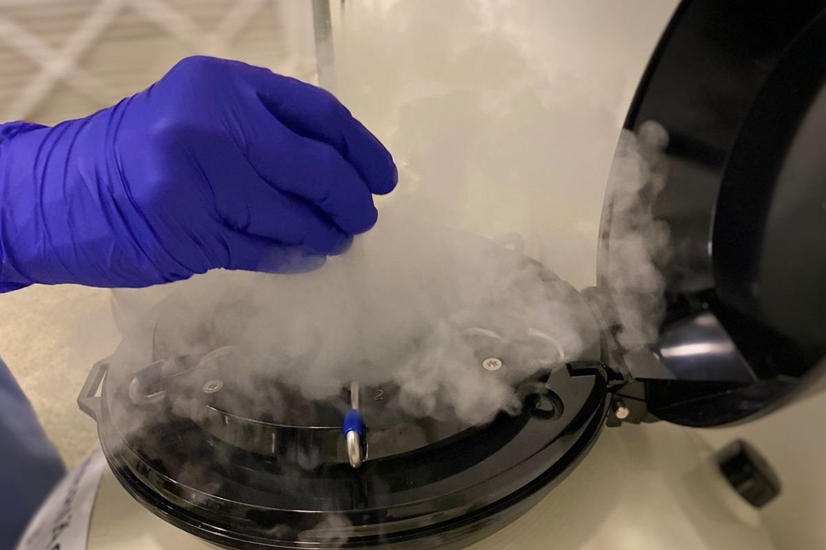 Novembro Azul: congelamento de sêmen é alternativa contra risco!