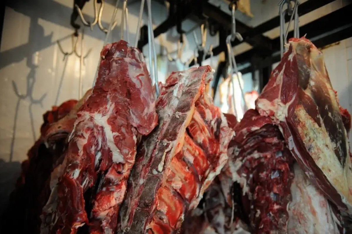 Preços sobem 0,56% em outubro, com conta de luz e carnes mais caras; IPCA acumula alta de 4,76%