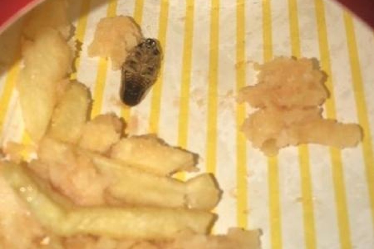 Homem acha uma barata morta dentro de um pacote de batatas fritas de uma empresa de fast-food