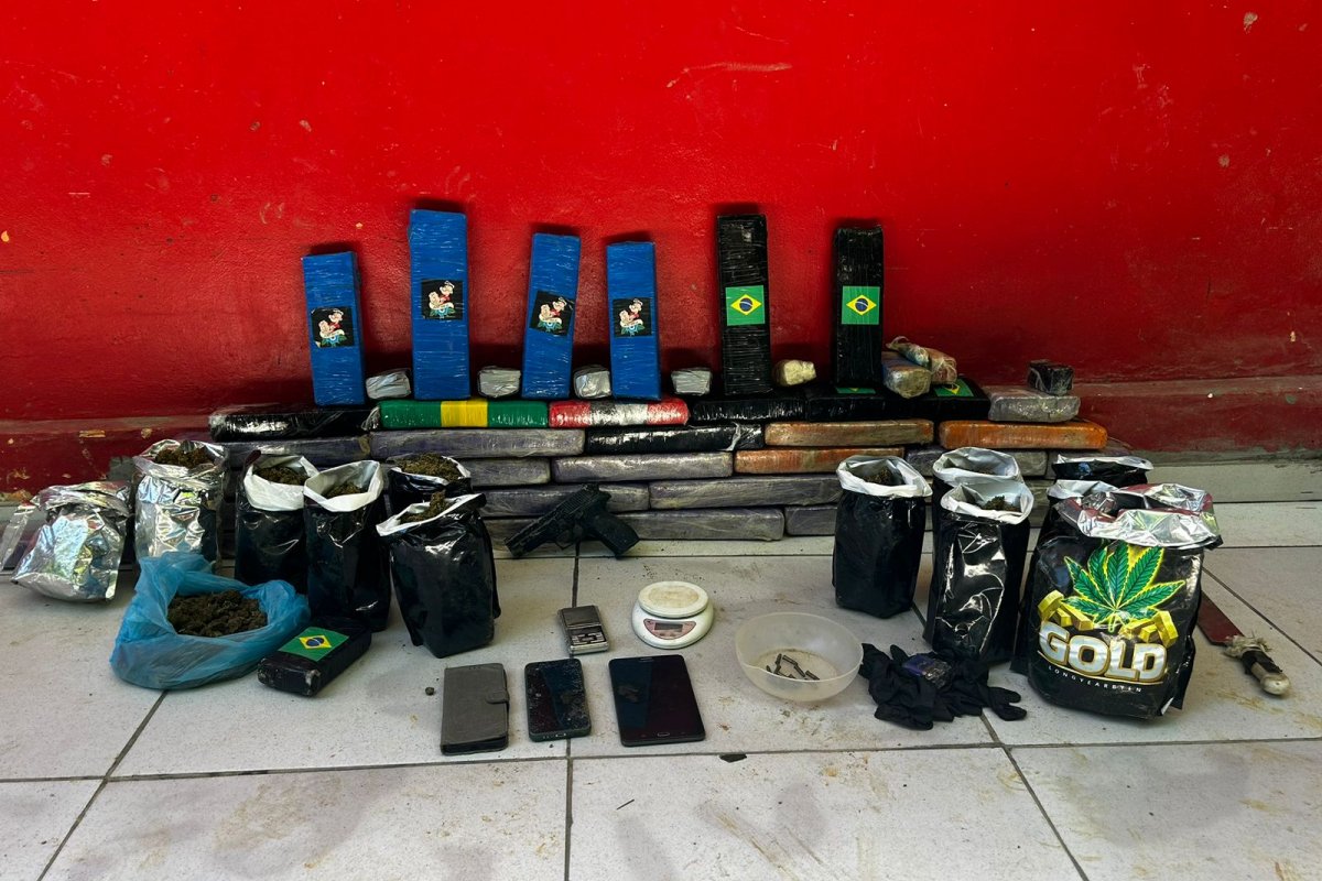Esquema de maconha "indoor" é desmontado pela FICCO Bahia e PM em Itacaré