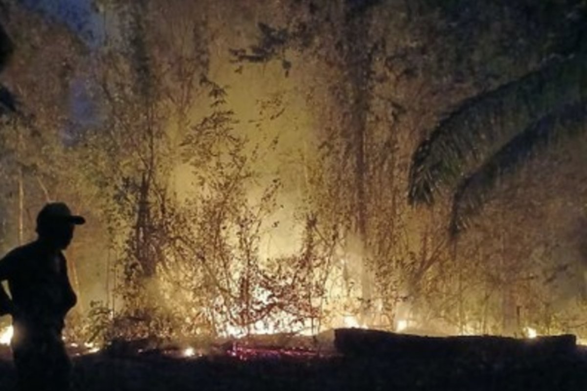 MPF pressiona autoridades por ações contra queimadas no Pará