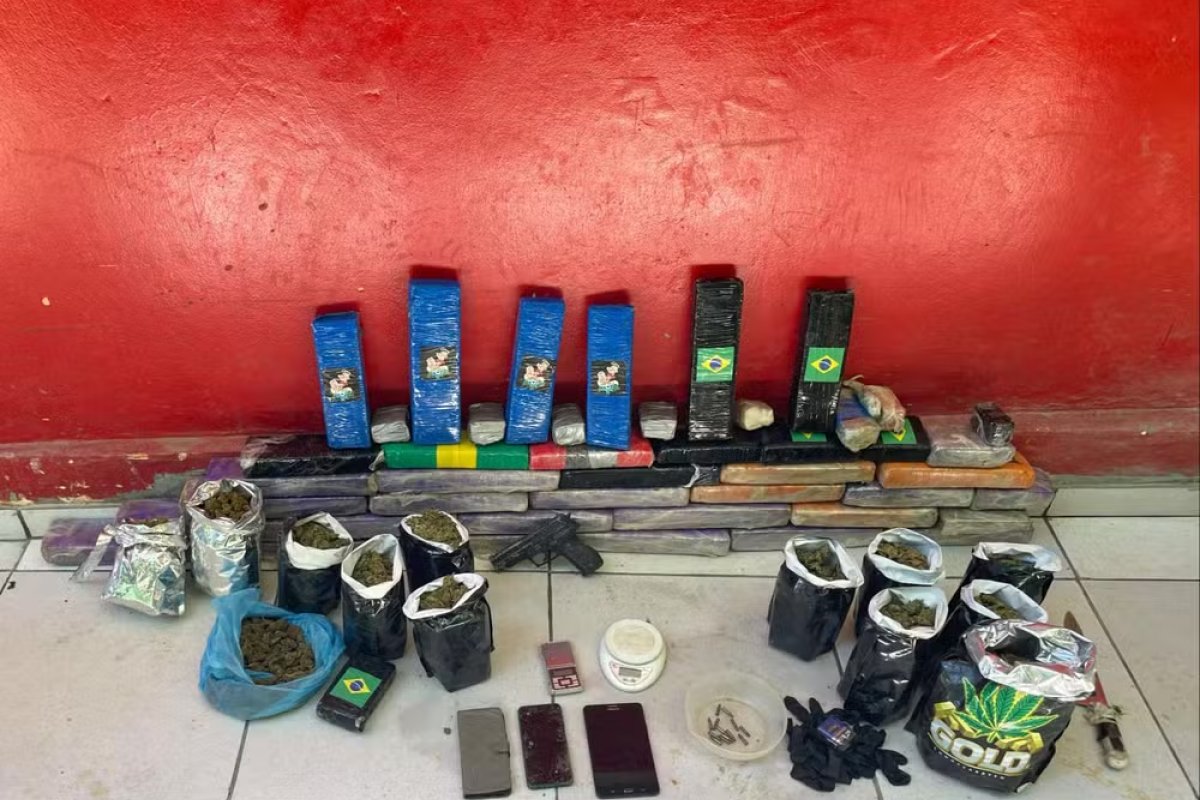 Homem é preso e polícia desmonta cultivo 'indoor' de maconha no litoral da Bahia
