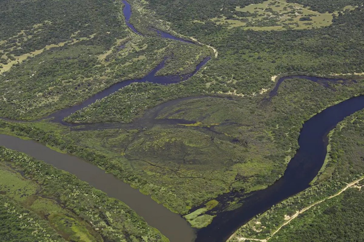 Mapbiomas: maior parte da Mata Atlântica tem menos de 30% de vegetação nativa