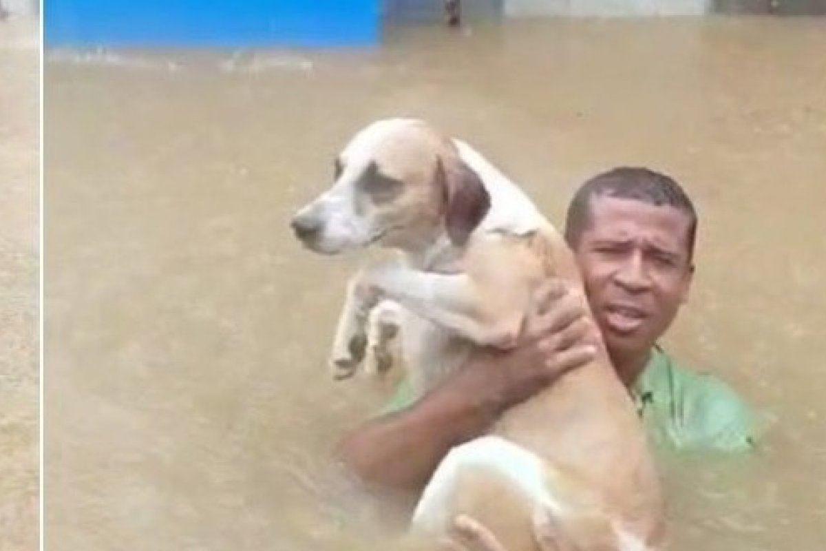 Vídeo: com água acima da cintura, vítima de alagamento tenta salvar cachorro no subúrbio de Salvador