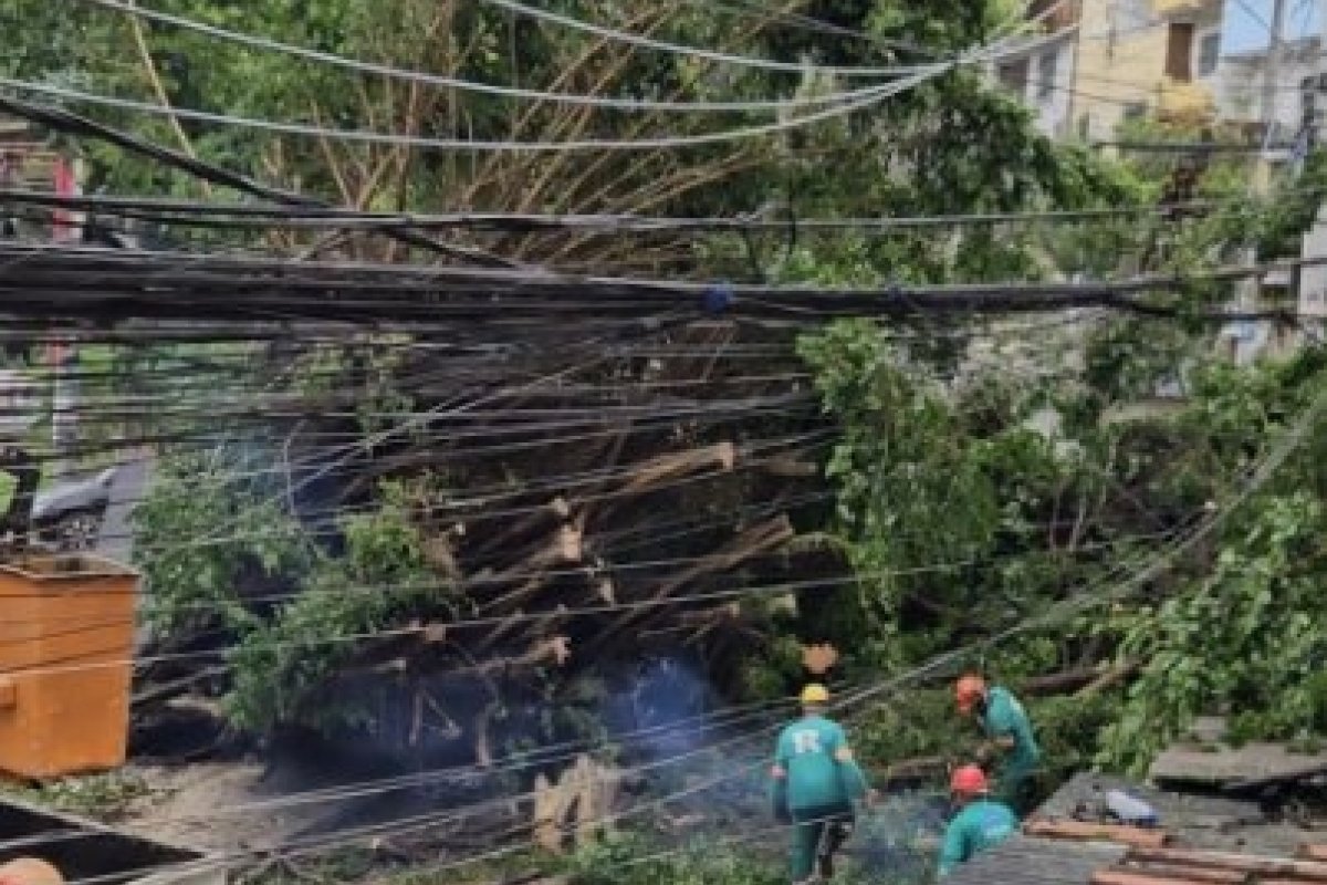 Vídeo: moradores ficam sem energia após queda árvore no Alto da Ondina