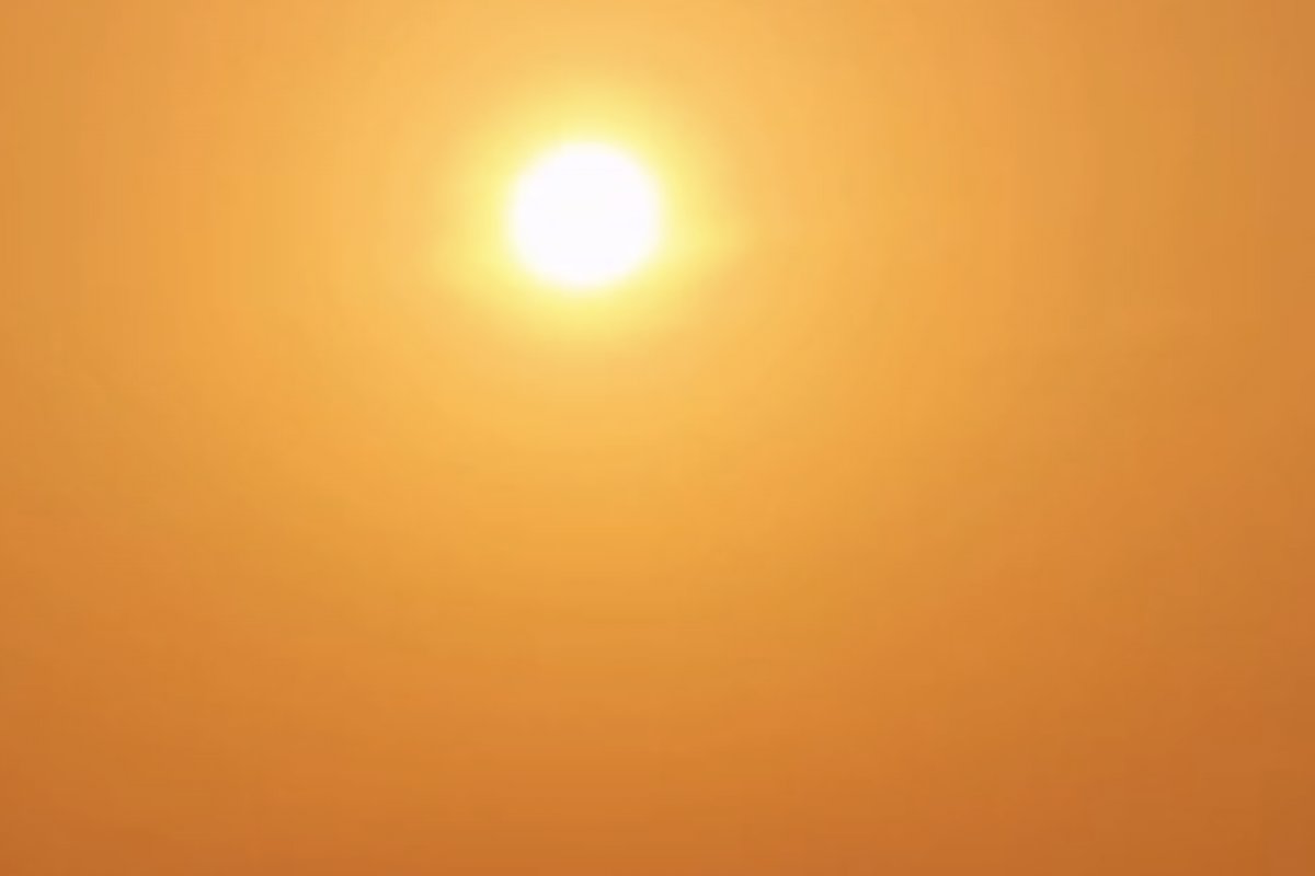 Crise da fumaça muda a cor do céu no Pará, sede da próxima COP 30
