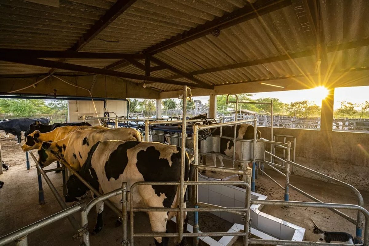 Senar abre 370 vagas para cursos gratuitos do setor agropecuário na Bahia; saiba como se inscrever