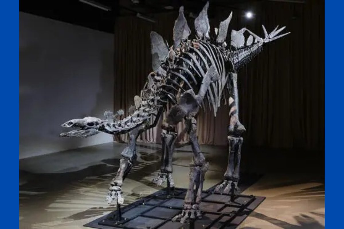 Bilionário arremata fóssil de dinossauro e empresta a Museu Americano de História Natural
