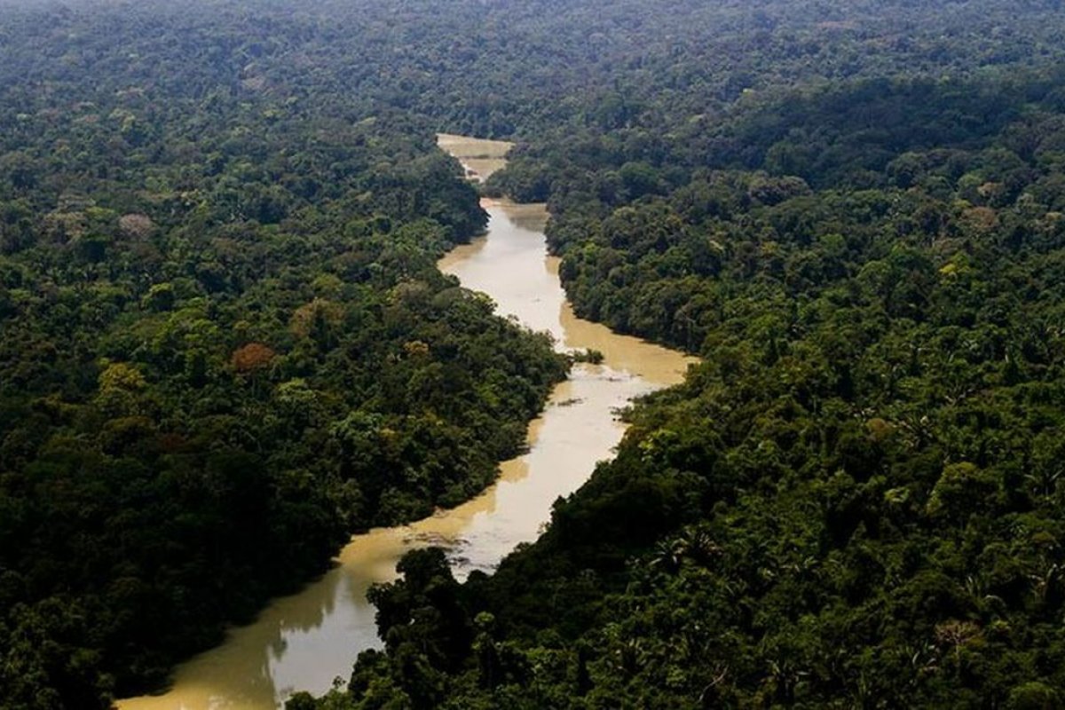 Cidades da Amazônia Legal com presença de facções criminosas crescem 46%, aponta estudo