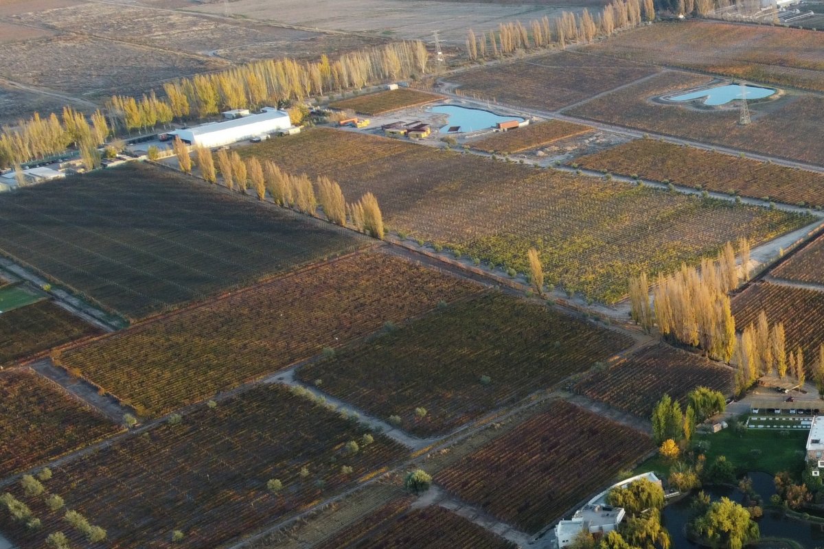Miolo chega na Argentina e desbrava seu quinto terroir!