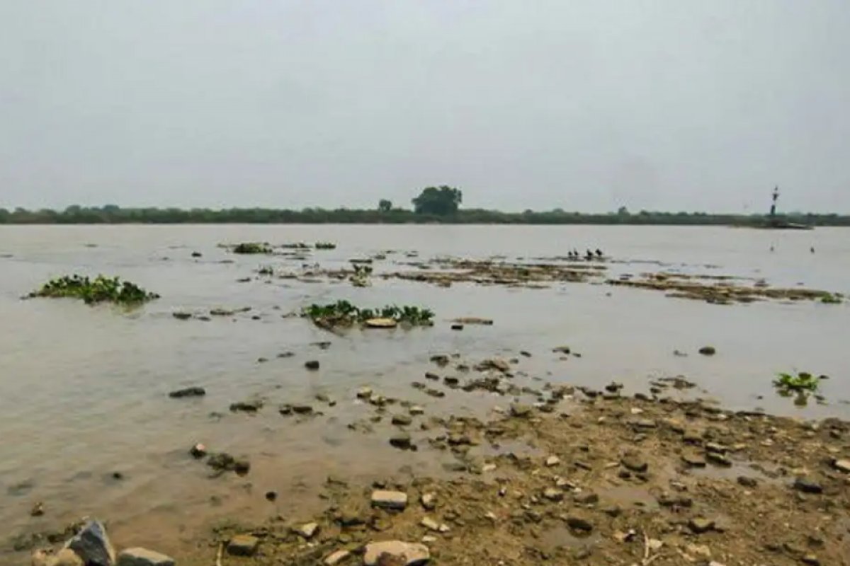 Bacia do rio Paraguai, no pantanal, tem volume de chuva semelhante ao semiárido em 2024