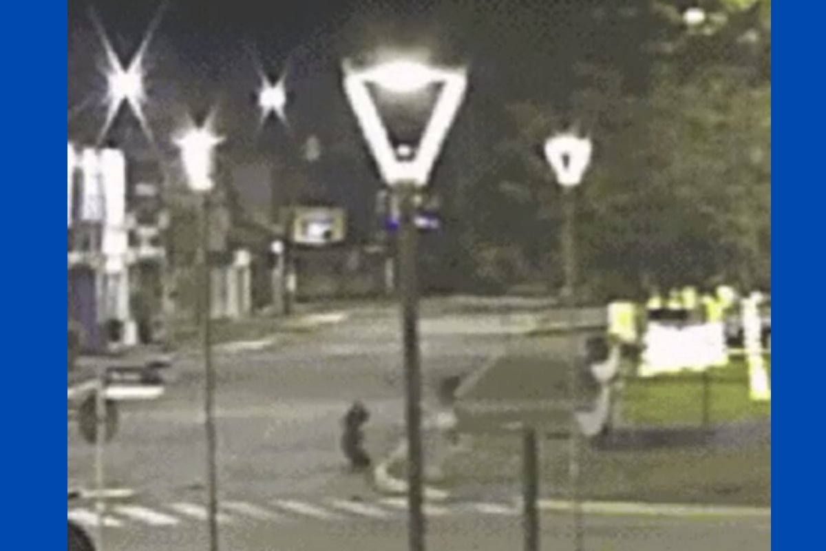 Vídeo: homem é preso após ser flagrado agredindo companheira em praça de São Paulo