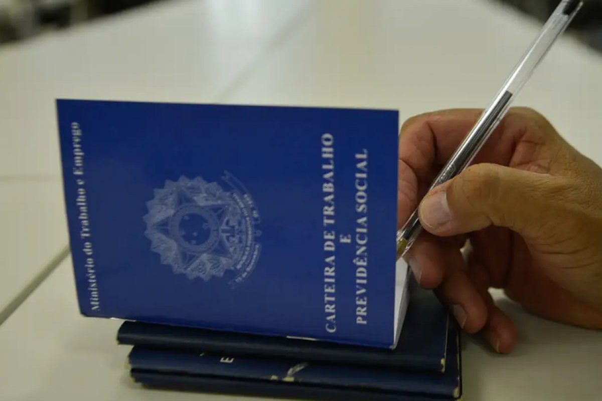 Agricultura familiar conta com 480 vagas de trabalho na Bahia