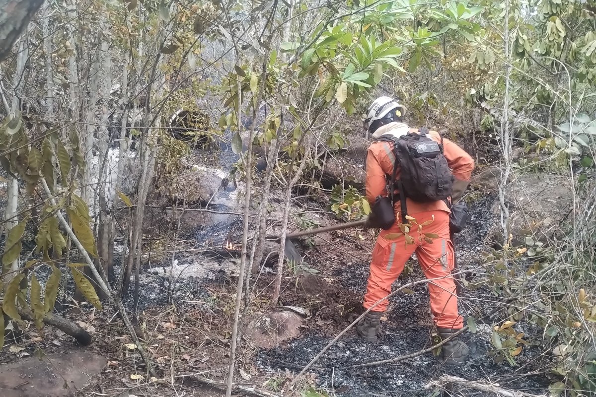 Vídeo: bombeiros combatem incêndios florestais em Lençóis com apoio de aeronave