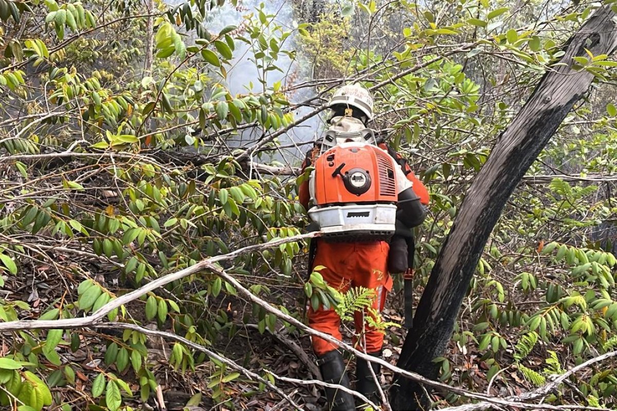 Operação de combate a incêndio florestal chega ao quinto dia; bombeiros contam com apoio de duas aeronaves
