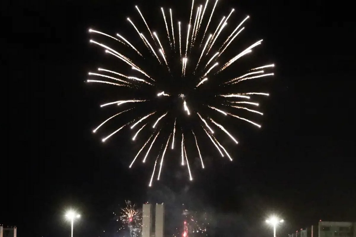 Fogos de artifício: TJSP condena mulher por morte de cavalo após susto