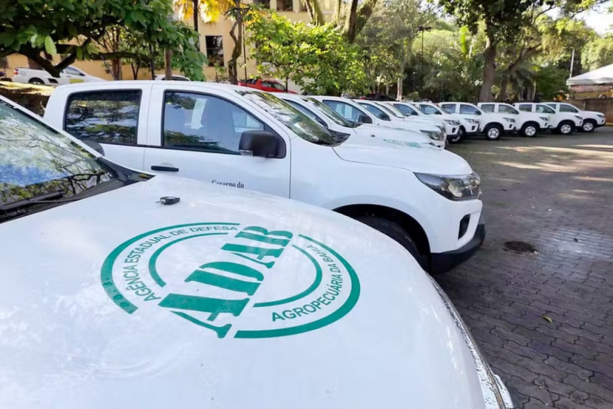 Governo da Bahia lança edital de processo seletivo com 241 vagas para atuação na Adab