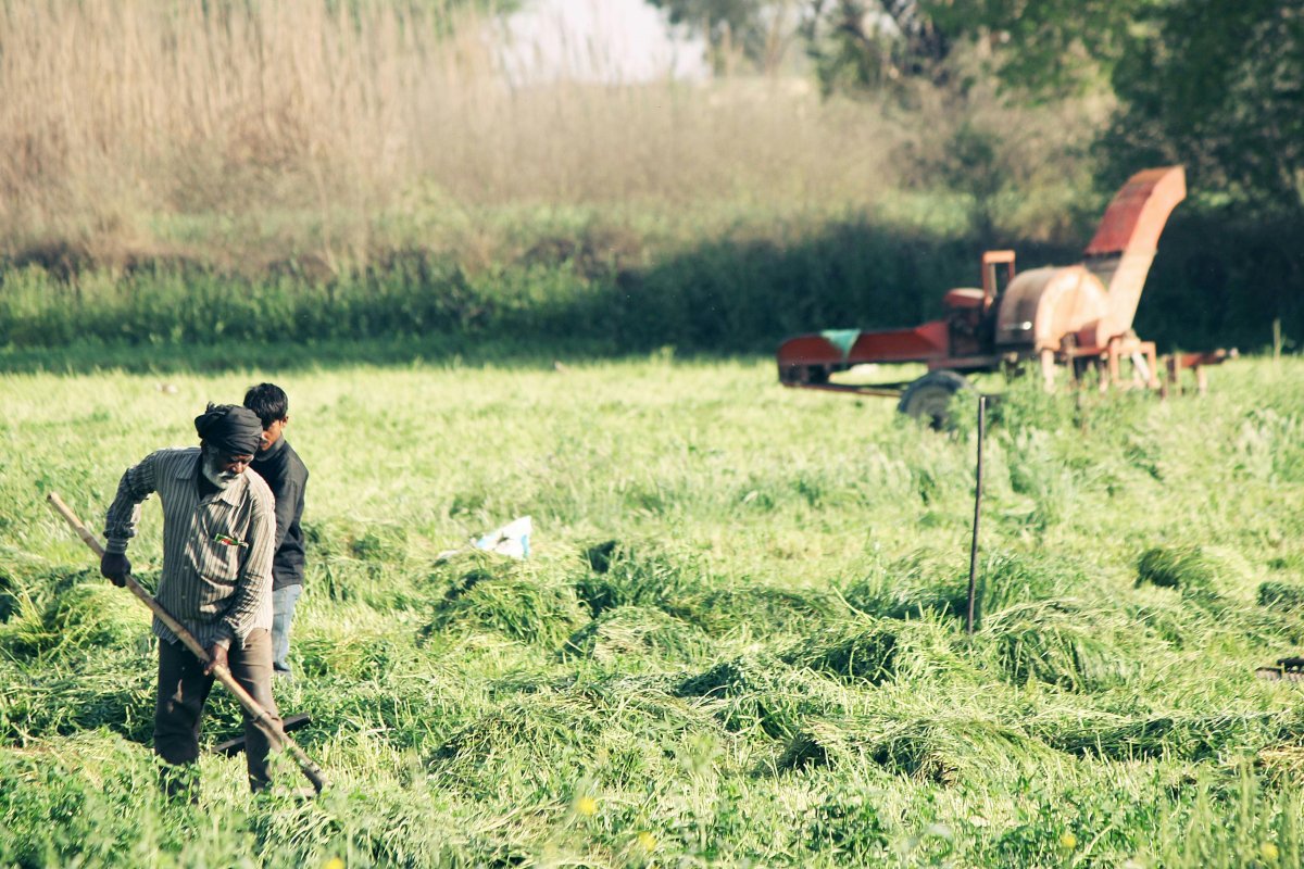 Agricultores franceses fazem carreatas até Paris em protesto ao acordo UE-Mercosul
