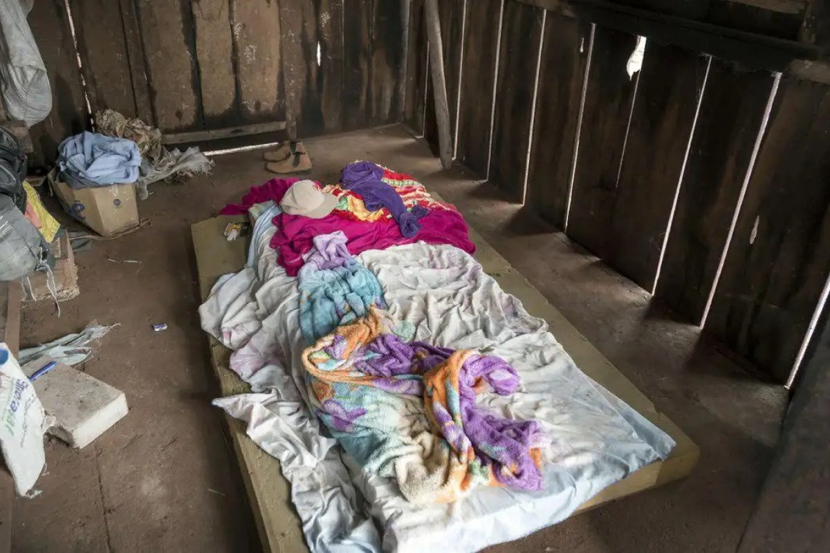 Brasil registra o maior número de denúncias de trabalho escravo da história do Disque 100