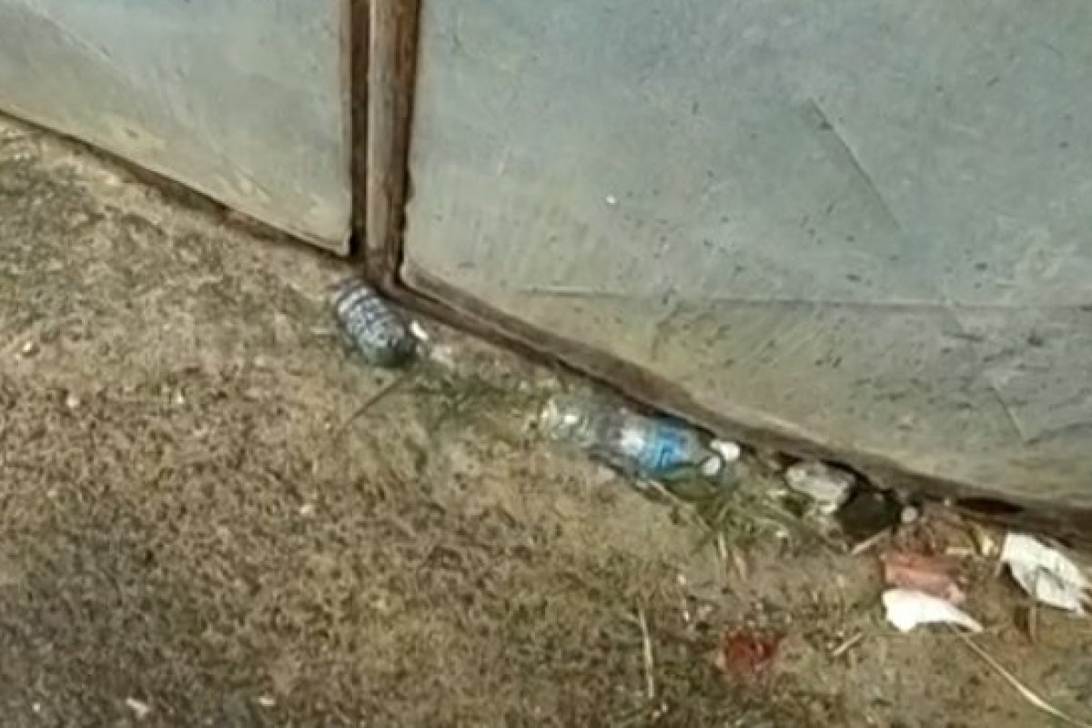 Tiroteio causa interrupção temporária no serviço de ônibus em Tancredo Neves; granada foi encontrada no bairro