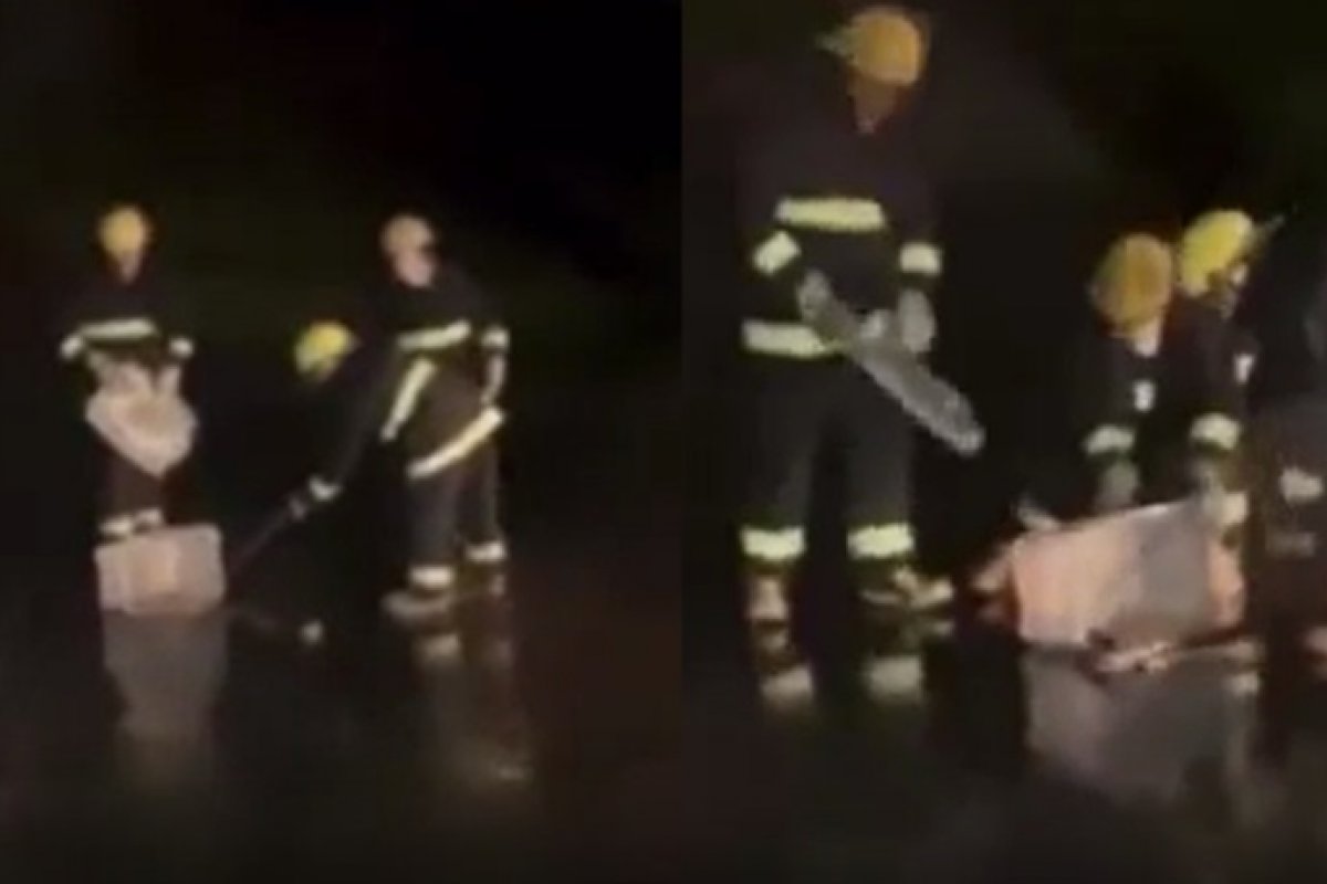 Vídeo: Decolagem de avião é interrompida depois de cobra atravessar pista em aeroporto