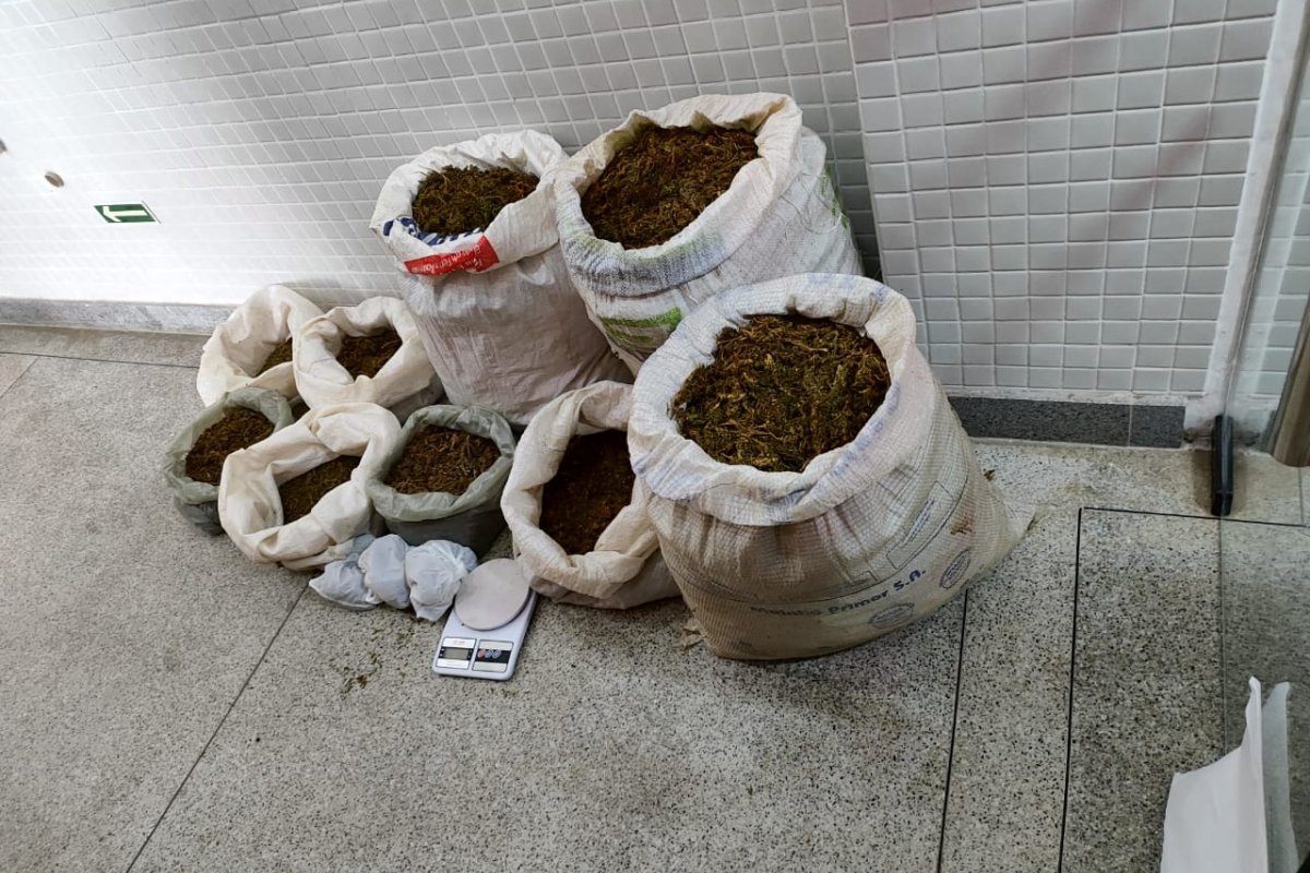 Dois são presos em operação contra tráfico de drogas e organização criminosa no norte da Bahia; 46 kg de maconha foram apreendidos