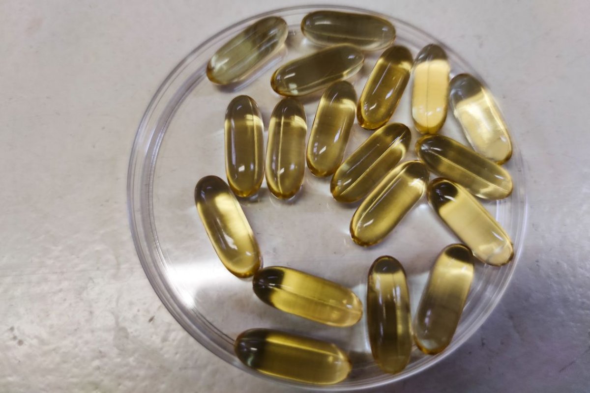 Pesquisa aponta que Ômega 3 reduz morte de neurônios pelo vírus Zika