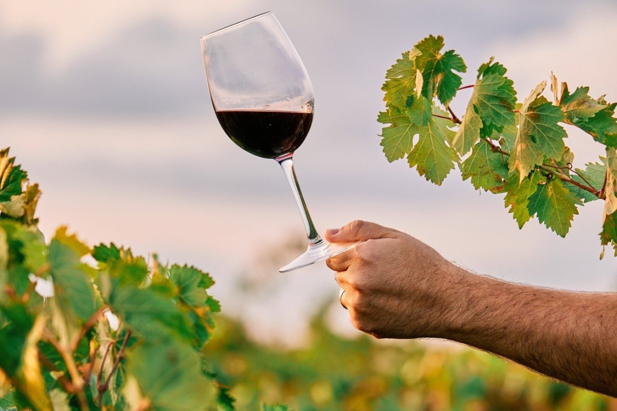 Tendências para o mundo dos vinhos para o Brasil em 2025!
