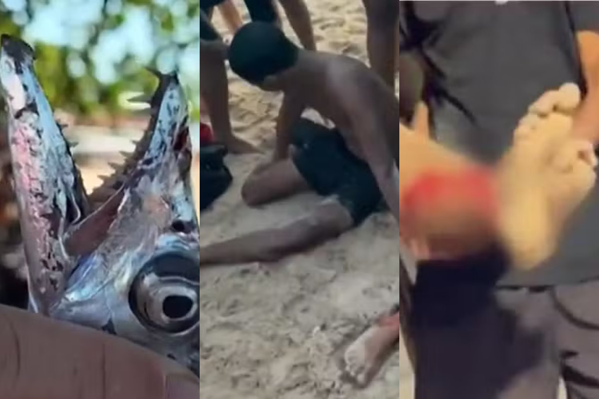 Vídeo: cardume de peixe-espada ataca e fere 7 banhistas em praia de Rio das Ostras