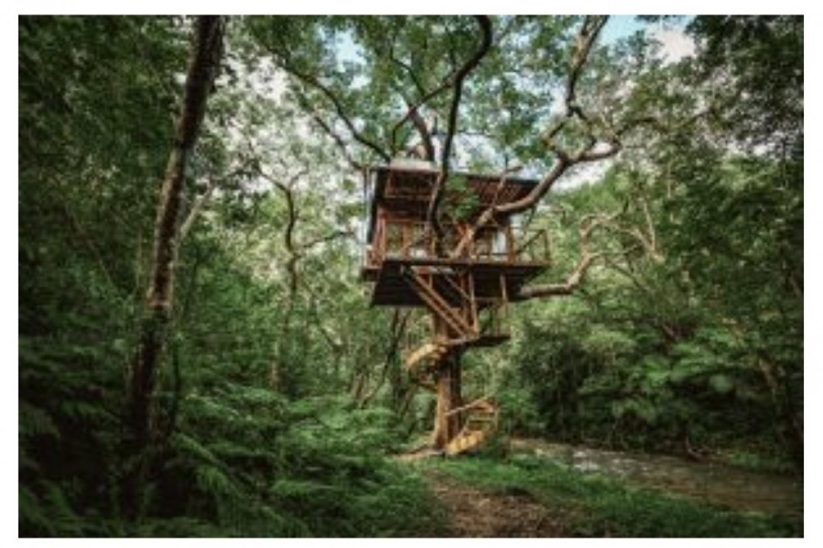 Viagem sustentável no Japão: 5 acomodações que unem sofisticação e conforto à integração com a natureza!