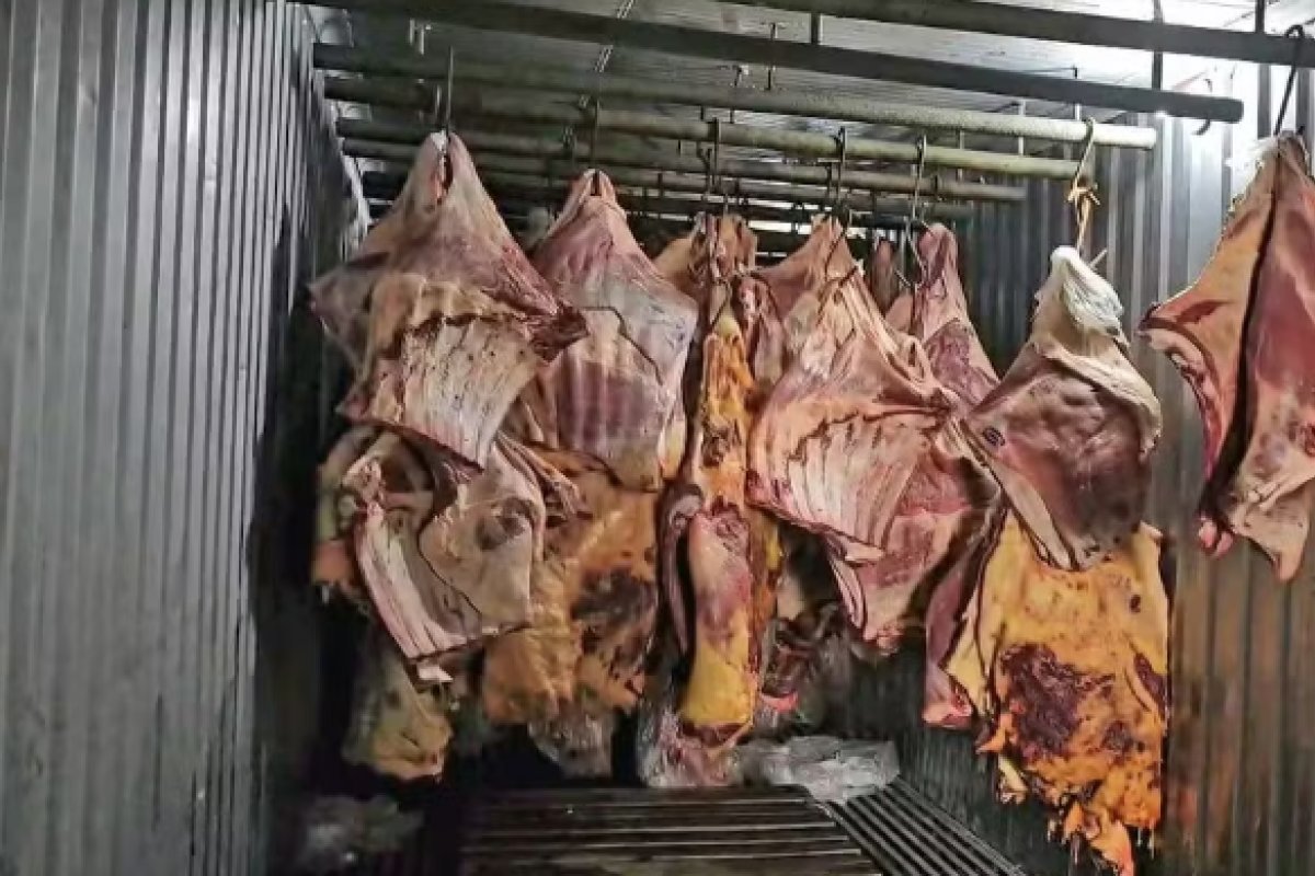 Empresa comprou e revendeu carne que ficou submersa nas enchentes do RS, afirma polícia