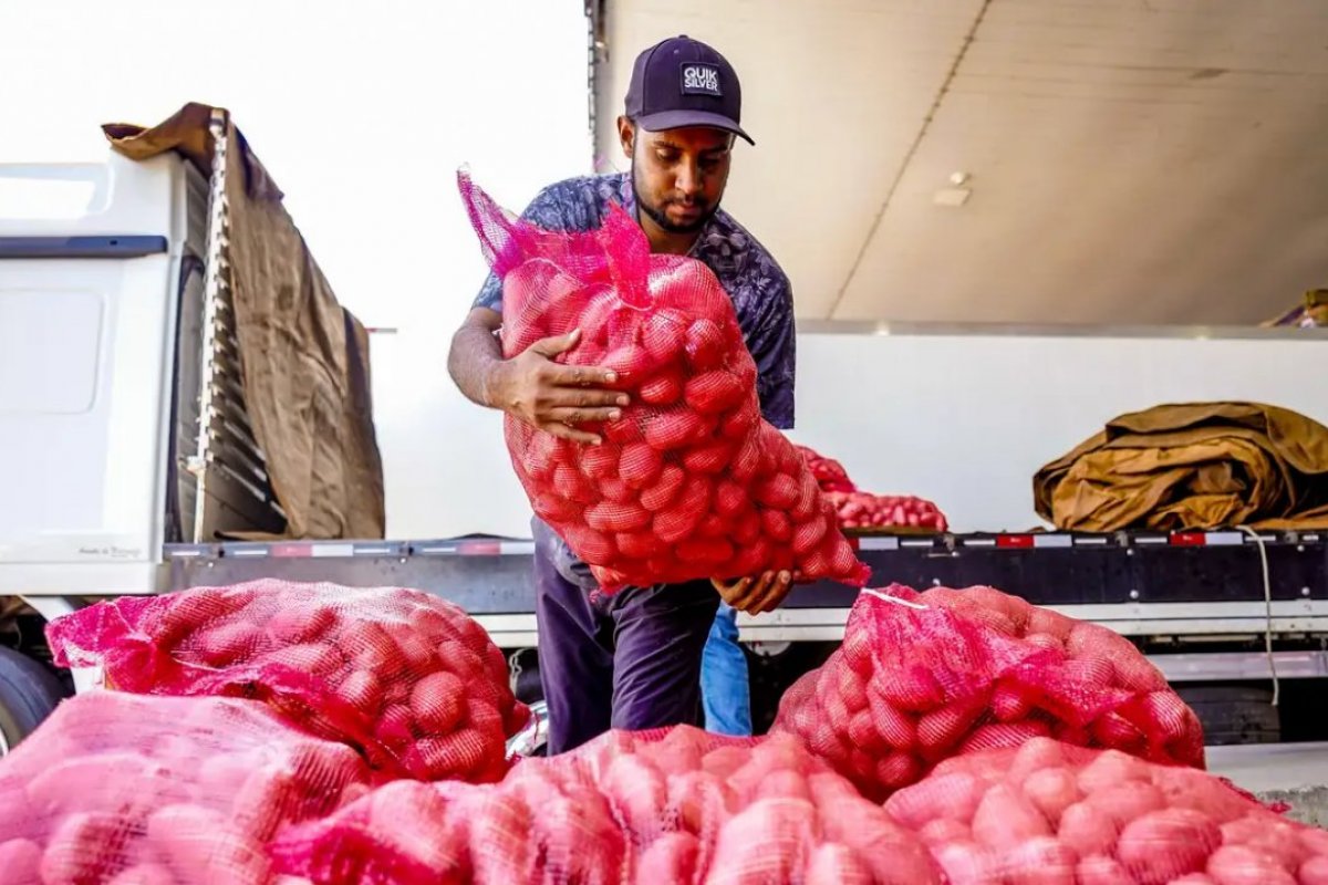 Preço da cebola registra alta; batata tem queda, aponta levantamento