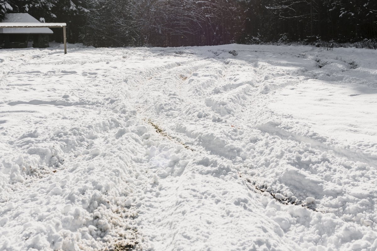 Vídeo: Evento inédito ocorre na Flórida, praias ficam congeladas após nevasca